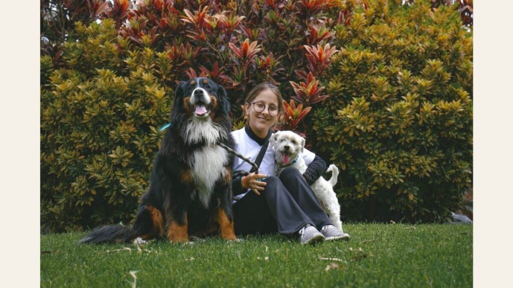 passeio com cães renda extra