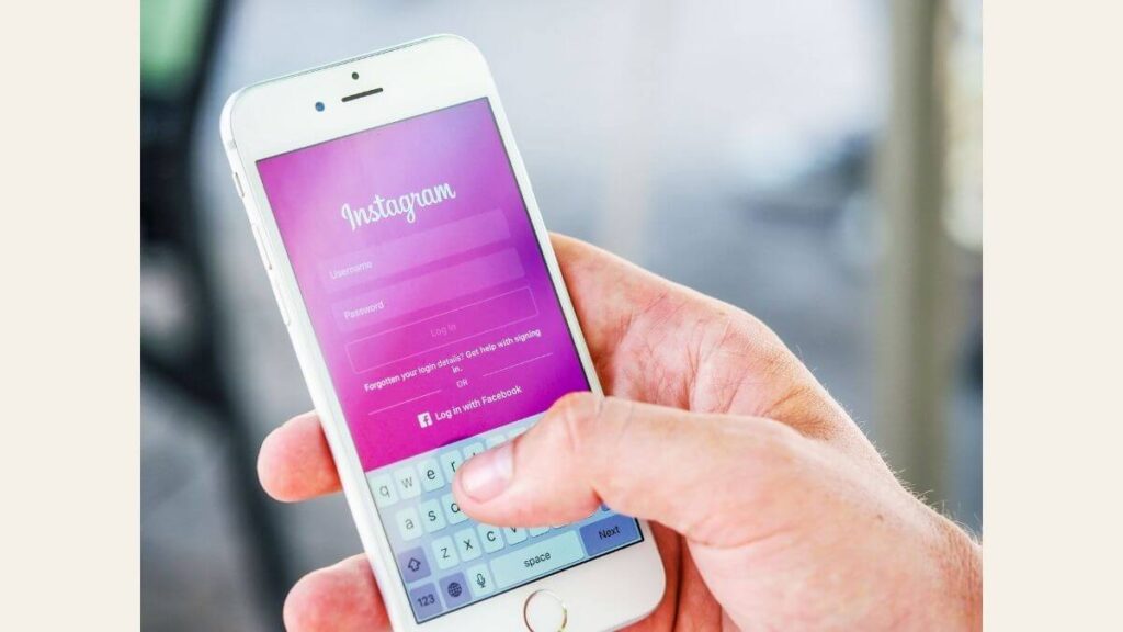 instagram divulgação dog walker