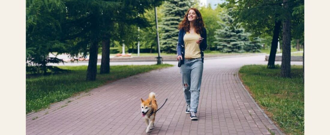 Dog Walker: Como Ganhar Dinheiro Passeando com Cães e Transformar Passeios em Renda Recorrente