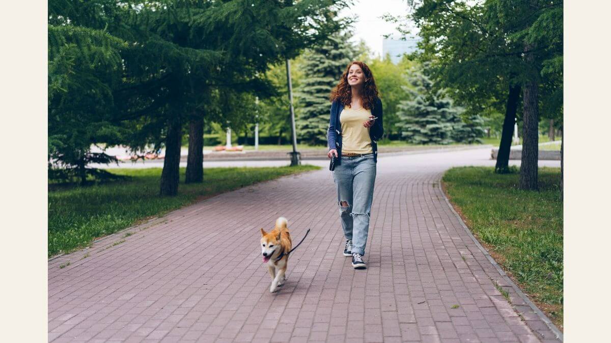 Dog Walker: Como Ganhar Dinheiro Passeando com Cães e Transformar Passeios em Renda Recorrente