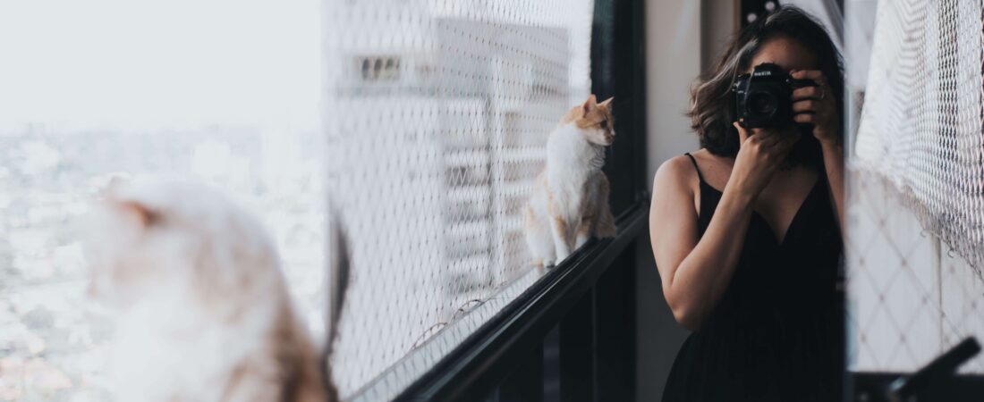 Fotografia Pet: Como Transformar o Amor pelos Animais em uma Fonte de Renda