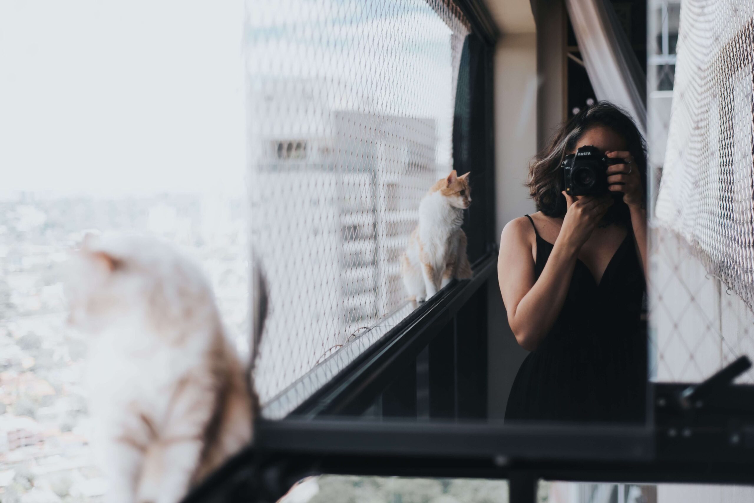Fotografia Pet: Como Transformar o Amor pelos Animais em uma Fonte de Renda